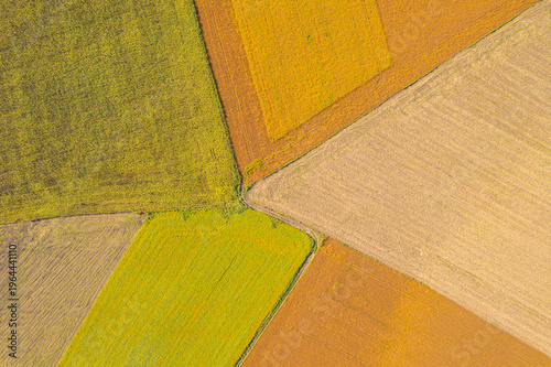 Aerial view of colorful patchwork farmland divided into geometric fields