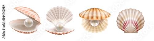 Underwater seashells from beach or underwater. Vector in realistic style, isolated set of scallops or clams with pearl. Expensive jewelry bead. Decoration for aquarium or sea bottom design