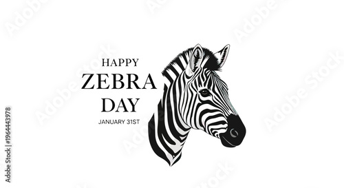 Black and white zebra head portrait.