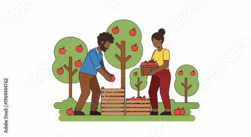 Couple harvesting apples from trees in an orchard, collecting fruit in wooden crates, healthy lifestyle and nature concept