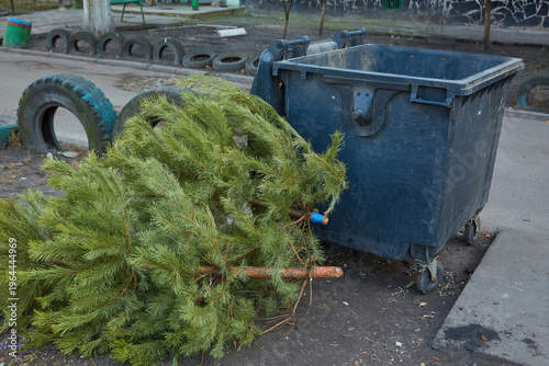 A discarded Christmas tree lying on the ground next to a dumpster.