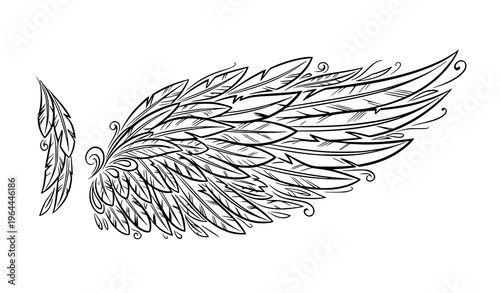 Artistic angel wings vector with decorative feathers and ethereal flowing design elements