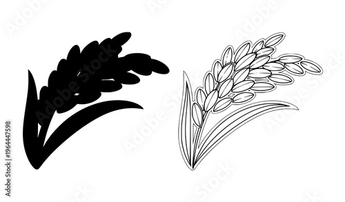 Rice spikelet cartoon and outline vector set with paddy ear illustration in bold line and flat style
