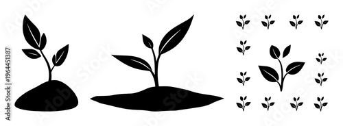 Solid black icon, white background: financial growth plant sprout set with simple line art design featuring sketches, drawings, vector graphics with minimalist and simple illustrations