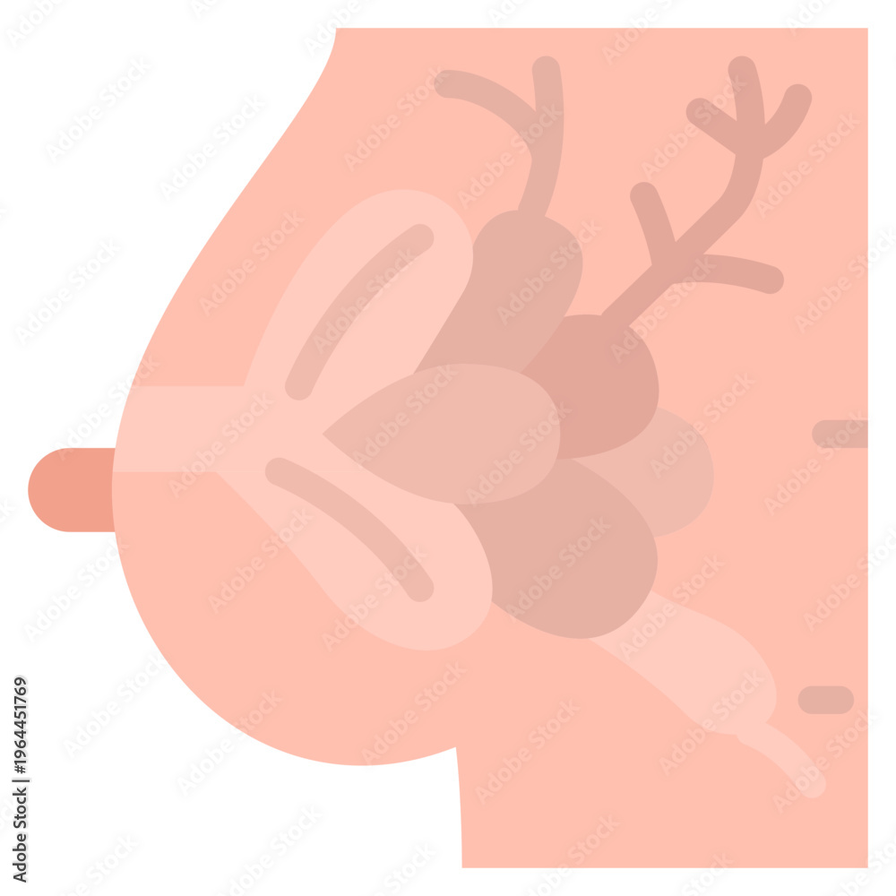 Obraz premium Human breast anatomy flat icon, anatomical mammary gland illustration for medical and reproductive health education