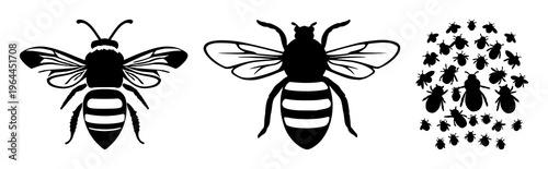 Solid black icon, white background: swarm intelligence bee cluster set with simple line art design featuring outline, illustration, graphic elements with clean design and vector art