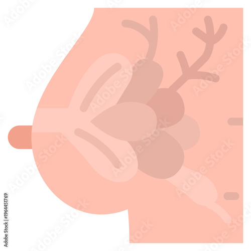 Human breast anatomy flat icon, anatomical mammary gland illustration for medical and reproductive health education