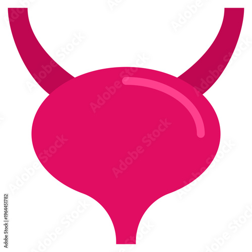 Human bladder silhouette illustration, excretory organ flat vector icon for healthcare and urology research