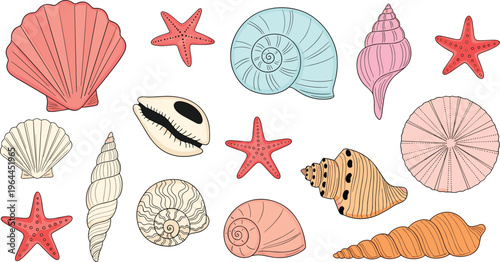 Hand drawn seashell and starfish collection with pastel ocean elements beach summer marine life vector illustration set