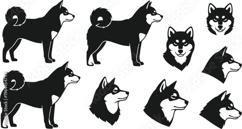 Siberian Husky dog silhouette collection, standing poses and head portraits, black white vector icons, canine breed illustration, isolated pet clipart set bundle
