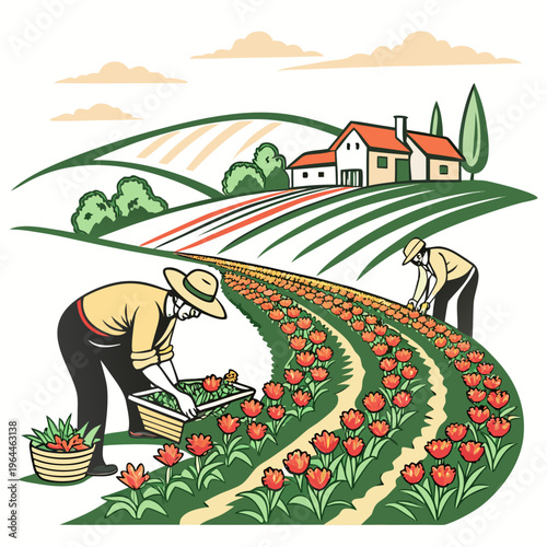 Farmers tending to vibrant red tulip flowers in a field with a farmhouse and rolling hills in the background