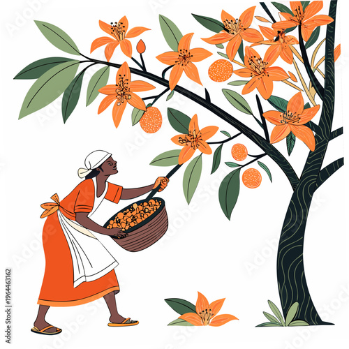 A woman in orange dress picking oranges from a tree with orange flowers