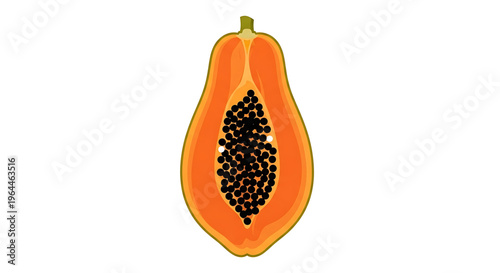 A vibrant vector illustration of a halved papaya showcasing its juicy orange flesh and black seeds