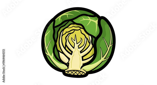 A vibrant green cabbage icon illustration with a black outline, set against a clean white background, perfect for use in food blogs, recipes, or health-related designs.
