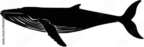 Blue Whale Silhouette – Flat Vector Plotter Cut File