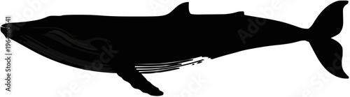 Blue Whale Silhouette – Flat Vector Plotter Cut File
