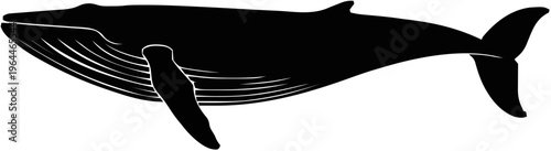 Blue Whale Silhouette – Flat Vector Plotter Cut File