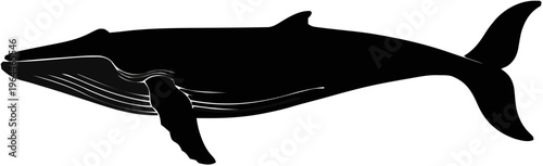 Blue Whale Silhouette – Flat Vector Plotter Cut File