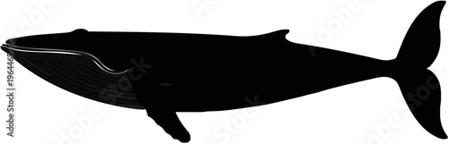 Blue Whale Silhouette – Flat Vector Plotter Cut File