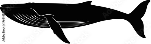 Blue Whale Silhouette – Flat Vector Plotter Cut File