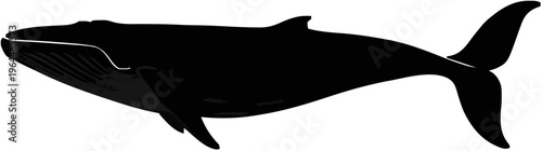 Blue Whale Silhouette – Flat Vector Plotter Cut File