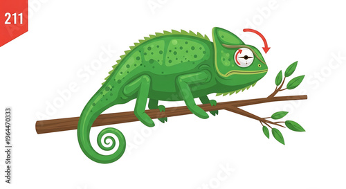 A colorful vector illustration of a chameleon changing its eye direction while sitting on a tree branch with leaves.
