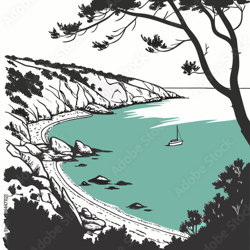 Black and white tree by the ocean water rocks nature