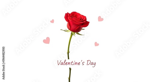 Valentines Day Red Rose Hearts.