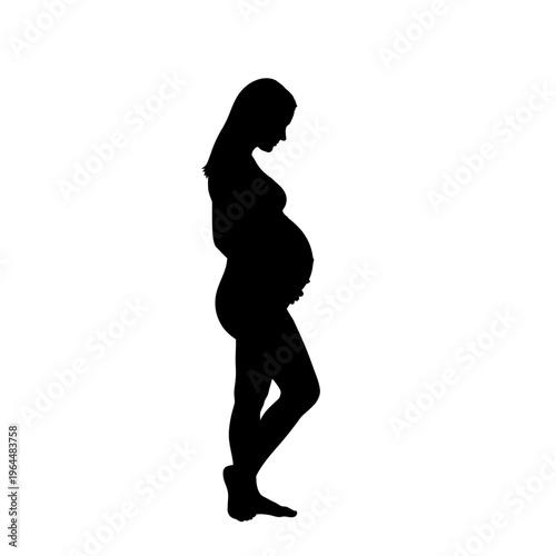 Silhouette of a Pregnant Woman Standing in Profile.
