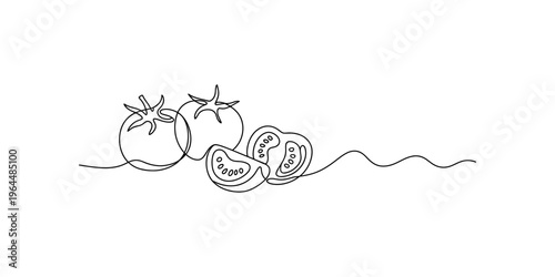 Minimalist one line drawing of whole and sliced tomatoes on a simple white background surface Vector, illustration