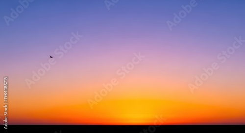 Serene Sunset Horizon with Single Bird Silhouette in Sky