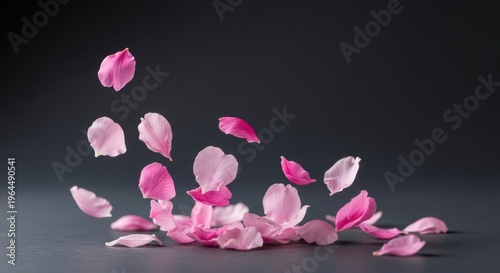 Delicate Pink Petals Falling Gracefully on Dark Background