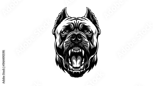 Aggressive Pitbull Dog Head Portrait, Biting, Bared Teeth, Fierce Expression, Black and White