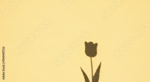 Soft Yellow Background with Tulip Shadow for Creative Projects