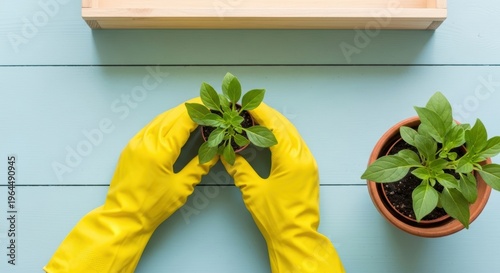 Hands in Yellow Gloves Planting Green Seedlings on Light Blue Surface
