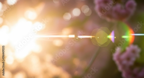 Gentle Sunlight Through Blossoms with Soft Focus and Bokeh Effects