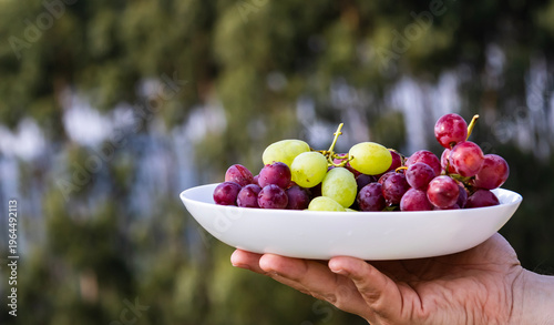 Hand holding a white bowl with fresh red and green grapes.
