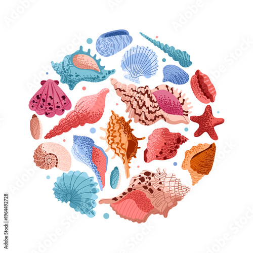 Seashell banner. Round composition. Seashells, mollusks, sea snails, starfish. Underwater world. Tropical summer beach. Vector illustration.