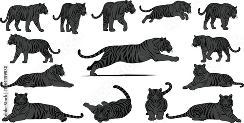 Comprehensive tiger silhouette vector collection featuring various poses like jumping, walking, and lying down with detailed stripe patterns for wildlife conservation and powerful brand designs.