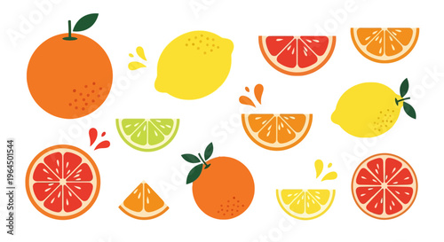 Vibrant illustration of assorted citrus fruits and slices on white background