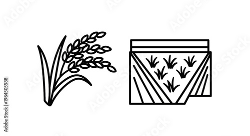 Rice plant and paddy field icon set, agricultural crop symbol and farm land irrigation layout for food production and agriculture industry branding