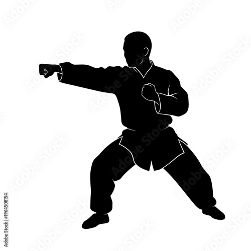 Silhouette of martial artist in fighting stance demonstrating punch.