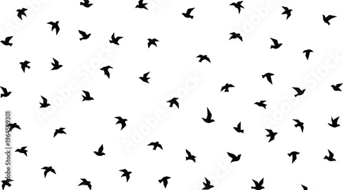 Black and white vector silhouette collection of flying birds flocking together isolated on white background for nature sky and freedom design elements