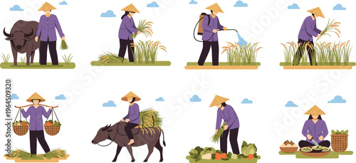 Traditional Asian Farmer Character Set Featuring Rice Harvesting Water Buffalo Irrigation Spraying and Rural Village Life Scenes for Agriculture and Cultural Designs