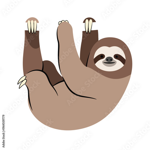 Smiling Sloth Hanging Upside Down with Claws Extended on White Background