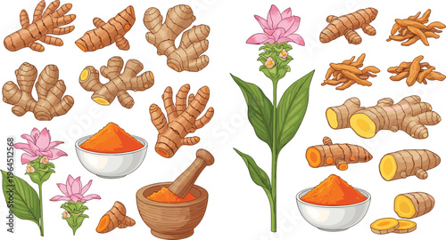 Fresh Ginger and Turmeric Root Botanical Vector Set Featuring Flowering Plants Ground Powder in Bowls Mortar and Pestle for Herbal Medicine Designs