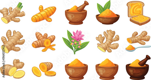 Fresh Ginger and Turmeric Root Vector Set Featuring Grated Powder in Wooden Bowls Mortar and Pestle Slices and Botanical Illustrations for Healthy Cooking