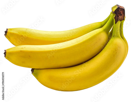 Large banana bunch wholesome sweet tropical fruit cluster isolated PNG on transparent background, vibrant yellow/medium, advertising banner for produce distributors and grocery stores