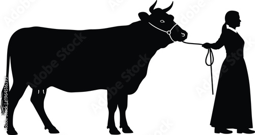 Black silhouette of a farm girl leading a cow on a rope isolated on white background for rural agriculture branding