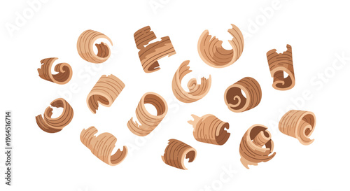 Multiple light-brown, curled wood shavings are randomly scattered across a pristine white background.